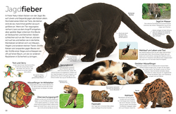 Innenansicht 3 zum Buch memo Wissen. Katzen
