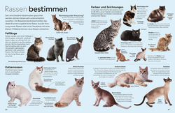 Innenansicht 8 zum Buch memo Wissen. Katzen