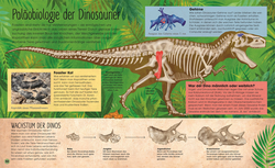 Innenansicht 6 zum Buch Urzeit