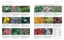 Innenansicht 8 zum Buch Gartendesign - Die große Enzyklopädie