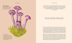 Innenansicht 2 zum Buch Pilze