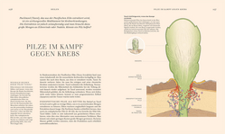 Innenansicht 8 zum Buch Pilze
