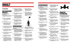 Innenansicht 1 zum Buch Big Ideas. Das Psychologie-Buch