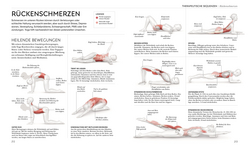 Innenansicht 8 zum Buch Yoga verstehen - Die Anatomie der Yoga-Haltungen