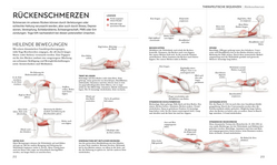 Innenansicht 8 zum Buch Yoga verstehen - Die Anatomie der Yoga-Haltungen