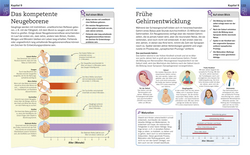 Innenansicht 6 zum Buch Visuelles Wissen. Psychologie
