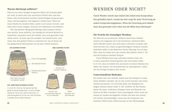 Innenansicht 5 zum Buch Kompost