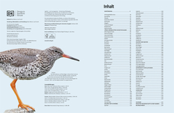 Innenansicht 1 zum Buch Heimische Vögel lebensgroß