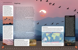 Innenansicht 8 zum Buch Heimische Vögel lebensgroß