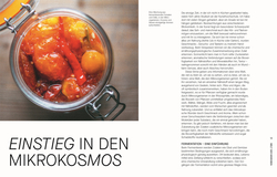 Innenansicht 3 zum Buch Fermentieren. Rezepte und Techniken für Geschmack, den man nicht kaufen kann