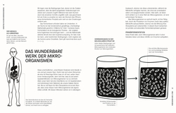 Innenansicht 4 zum Buch Fermentieren. Rezepte und Techniken für Geschmack, den man nicht kaufen kann