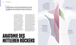 Innenansicht 5 zum Buch Mit Yoga Schmerzen lindern