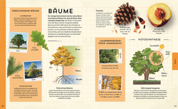 Innenansicht 5 zum Buch Welt-Entdecker