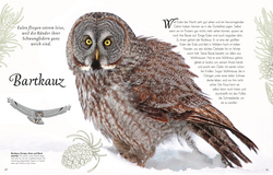 Innenansicht 4 zum Buch Wundervolle Welt der Vögel