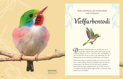 Innenansicht 7 zum Buch Wundervolle Welt der Vögel