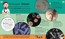 Innenansicht 8 zum Buch Wissen für Vorschulkids. Was weißt du über Natur und Technik?