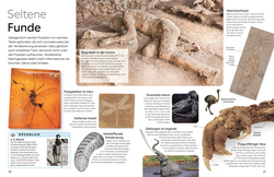 Innenansicht 2 zum Buch memo Wissen. Fossilien