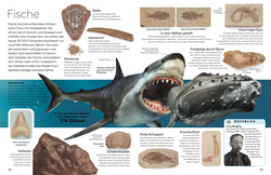 Innenansicht 4 zum Buch memo Wissen. Fossilien