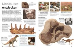 Innenansicht 6 zum Buch memo Wissen. Fossilien