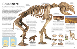 Innenansicht 7 zum Buch memo Wissen. Fossilien