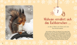 Innenansicht 3 zum Buch Wundervolle Welt. Adventskalender