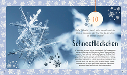 Innenansicht 5 zum Buch Wundervolle Welt. Adventskalender