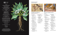 Innenansicht 1 zum Buch Die Geschichte von Magie, Hexerei & Okkultem