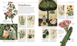 Innenansicht 4 zum Buch Die Geschichte von Magie, Hexerei & Okkultem