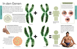 Innenansicht 6 zum Buch Wissen für clevere Kids. Der menschliche Körper für clevere Kids