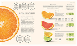 Innenansicht 5 zum Buch So funktioniert Geschmack Innenansicht 5 zum Buch So funktioniert Geschmack