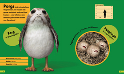 Innenansicht 2 zum Buch Star Wars™ In Lebensgröße