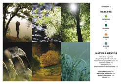 Innenansicht 1 zum Buch Wilde Zeiten Küche