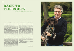 Innenansicht 2 zum Buch Wilde Zeiten Küche