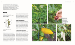 Innenansicht 4 zum Buch Hier wächst was!