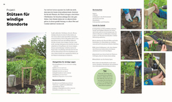 Innenansicht 5 zum Buch Hier wächst was!