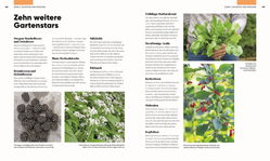 Innenansicht 8 zum Buch Hier wächst was!