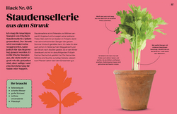 Innenansicht 3 zum Buch Regrow