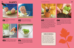 Innenansicht 4 zum Buch Regrow