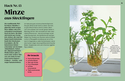 Innenansicht 5 zum Buch Regrow