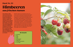 Innenansicht 6 zum Buch Regrow