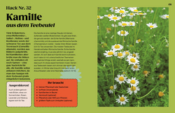 Innenansicht 8 zum Buch Regrow