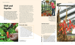 Innenansicht 6 zum Buch Alles im Gewächshaus