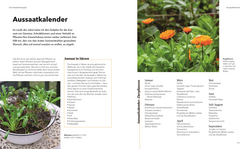 Innenansicht 8 zum Buch Alles im Gewächshaus