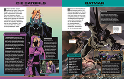 Innenansicht 2 zum Buch DC Comics Das große Superhelden-Lexikon