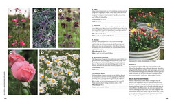 Innenansicht 5 zum Buch Permakultur