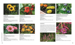 Innenansicht 7 zum Buch Permakultur