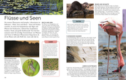 Innenansicht 5 zum Buch Wissen für clevere Kids. Die Erde für clevere Kids Innenansicht 5 zum Buch Wissen für clevere Kids. Die Erde für clevere Kids