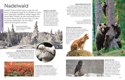 Innenansicht 6 zum Buch Wissen für clevere Kids. Die Erde für clevere Kids Innenansicht 6 zum Buch Wissen für clevere Kids. Die Erde für clevere Kids