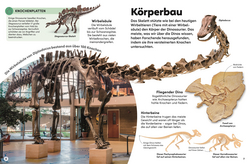 Innenansicht 2 zum Buch memo Wissen Kids. Dinosaurier