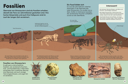 Innenansicht 5 zum Buch memo Wissen Kids. Dinosaurier